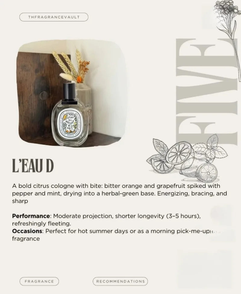 Oud Wood Patchouli & Musk EDP – Unisex Fragrance