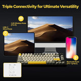 Ajazz AK820/AK820Pro Gaming Mechanical Keyboard Bluetooth 5.1/Wireless/wired  Custom Keyboard With Heat Exchange Sealed Button