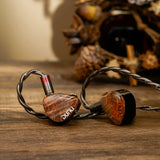 DUNU x Gizaudio DaVinci 2DD+4BA Hybrid IEM