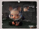 Pop Mart Skullpanda The Mare of Animals Series Blind Box Guess Bag Mystery Box Toys Doll Cute Anime Figure Ornaments Gift
