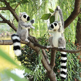 28cm Wild Lemur Plush Toy – Lifelike Stuffed Animal