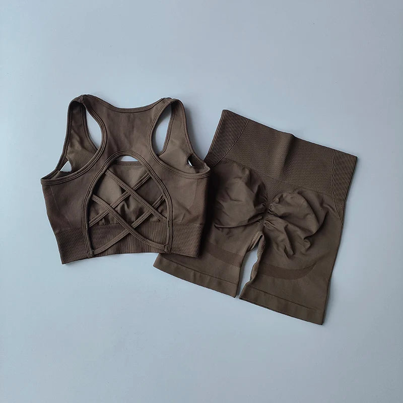 2-Piece Women's Seamless Workout Set: High-Waist Shorts & Performance Sports Bra