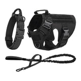 Tactical Dog Harness Set – Collar, Leash & MOLLE Pouches