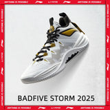 Li-Ning Men's BADFIVE STORM Basketball Shoes