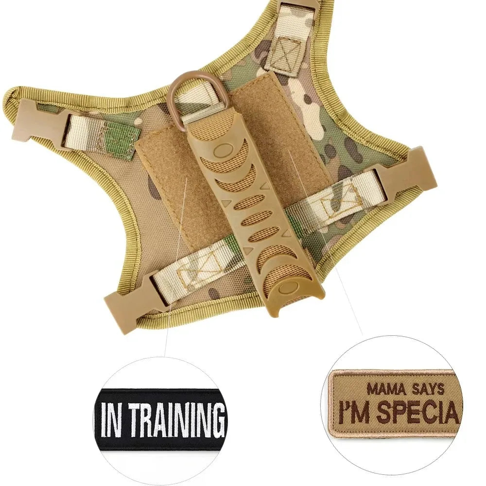 Cat Tactical Harness Vest with Leash & 2 Stickers