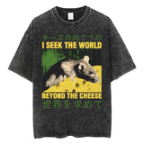 The Horrors Are Never Ending Yet I Remain Silly T-shirt Funny Japanese Style Frog Retro Washed T Shirt Men's Oversized Tees Tops