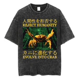 The Horrors Are Never Ending Yet I Remain Silly T-shirt Funny Japanese Style Frog Retro Washed T Shirt Men's Oversized Tees Tops