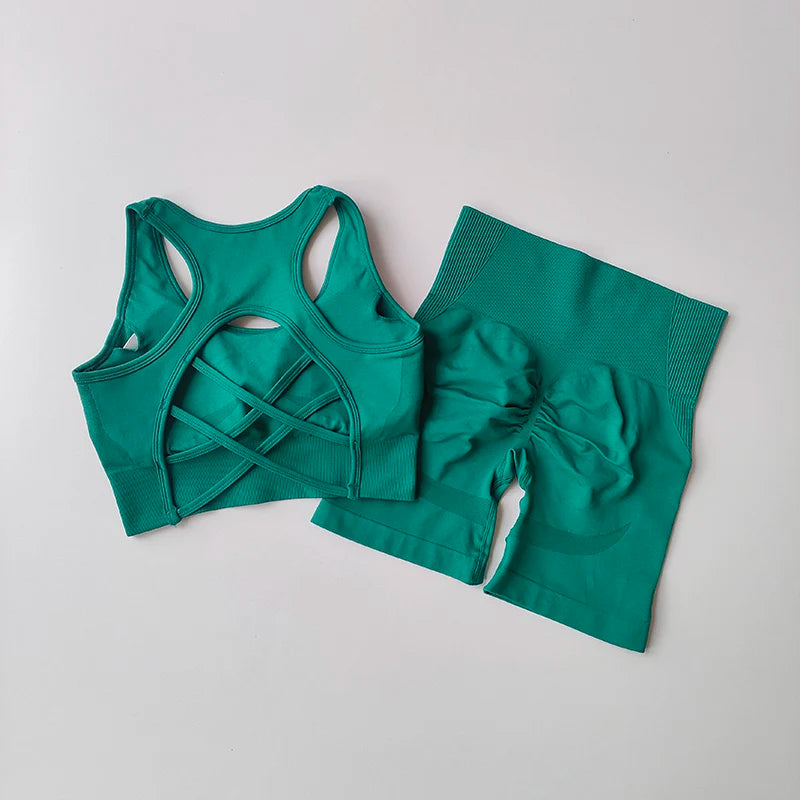2-Piece Women's Seamless Workout Set: High-Waist Shorts & Performance Sports Bra