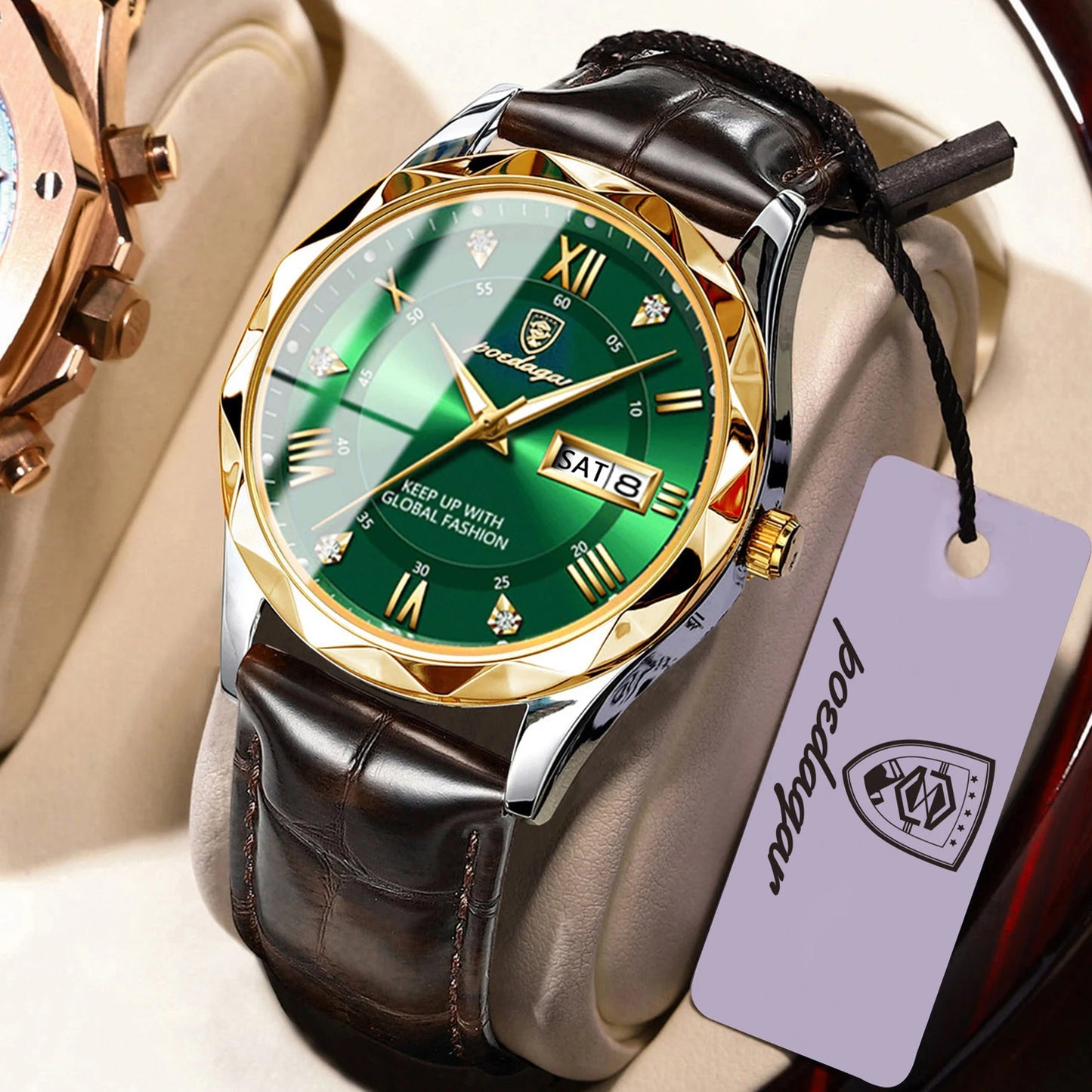 POEDAGAR 615 Men's Luxury Quartz Watch