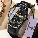 POEDAGAR 615 Men's Luxury Quartz Watch