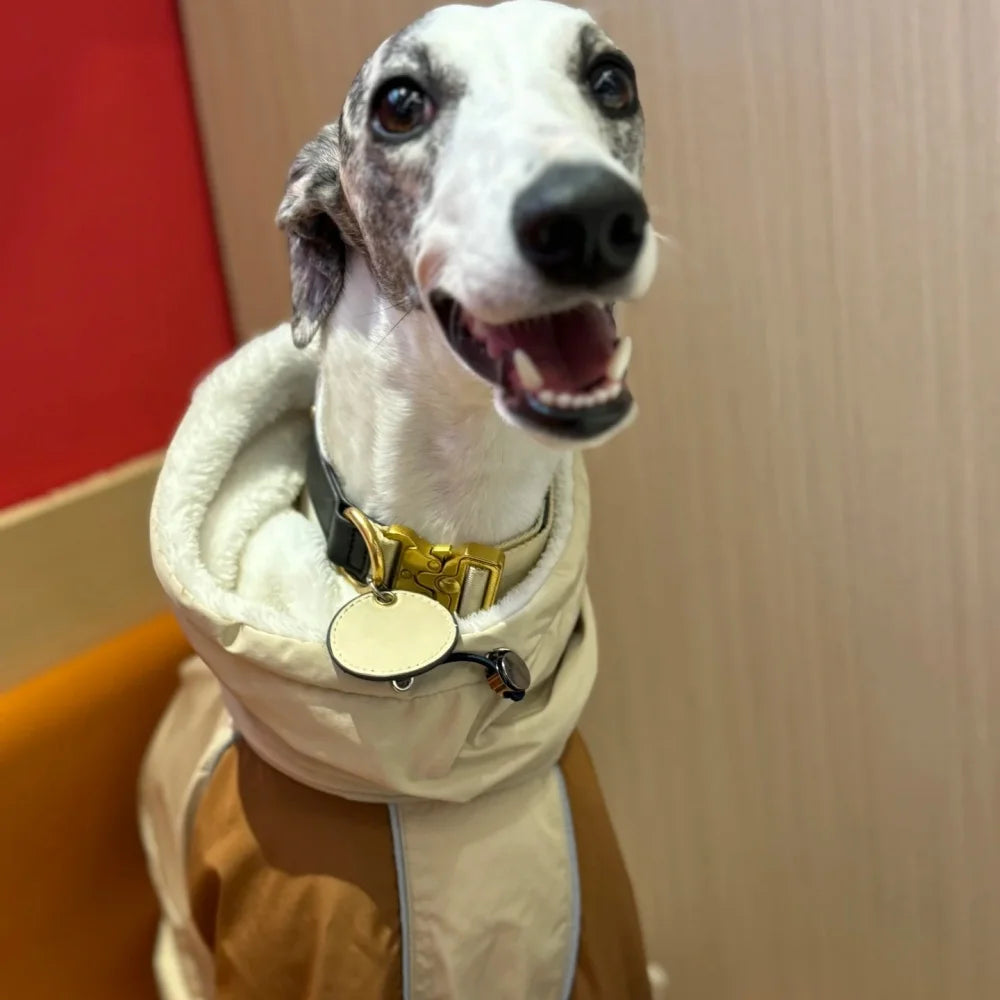 Italian Greyhound Fleece Vest – Windproof & Waterproof