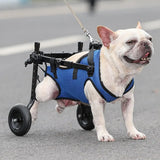 Adjustable Pet Mobility Wheelchair Cart for Small Dogs & Cats