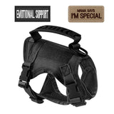 Cat Tactical Harness Vest with Leash & 2 Stickers