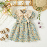 Summer Floral Bow Baby Dress