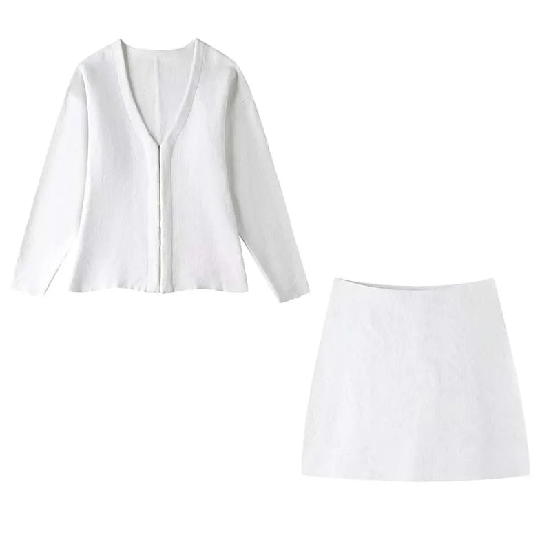 Elegant 2-Piece Knit Skirt Set